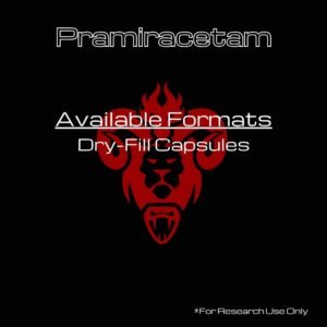 Pramiracetam